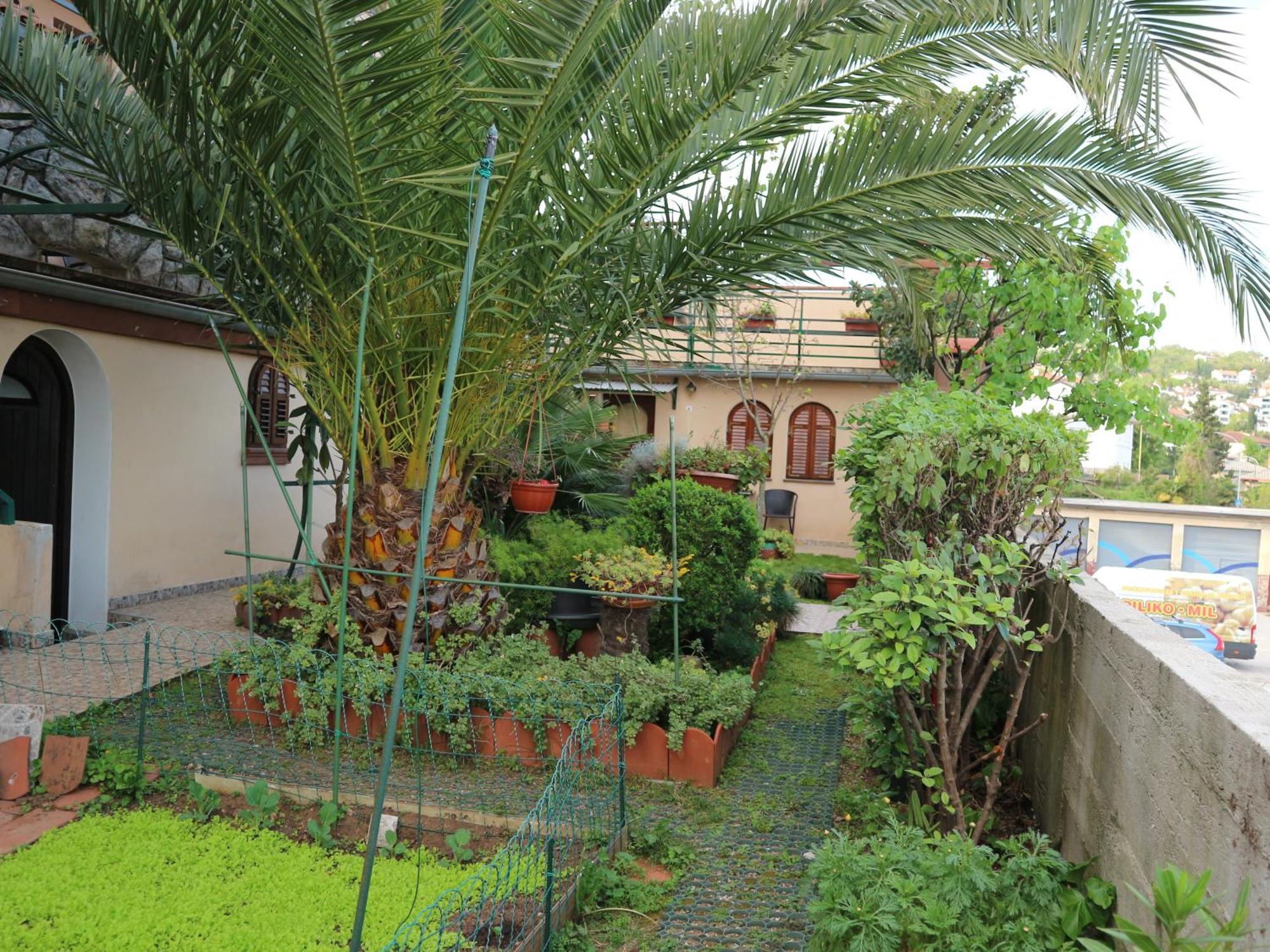Komel Apartament *