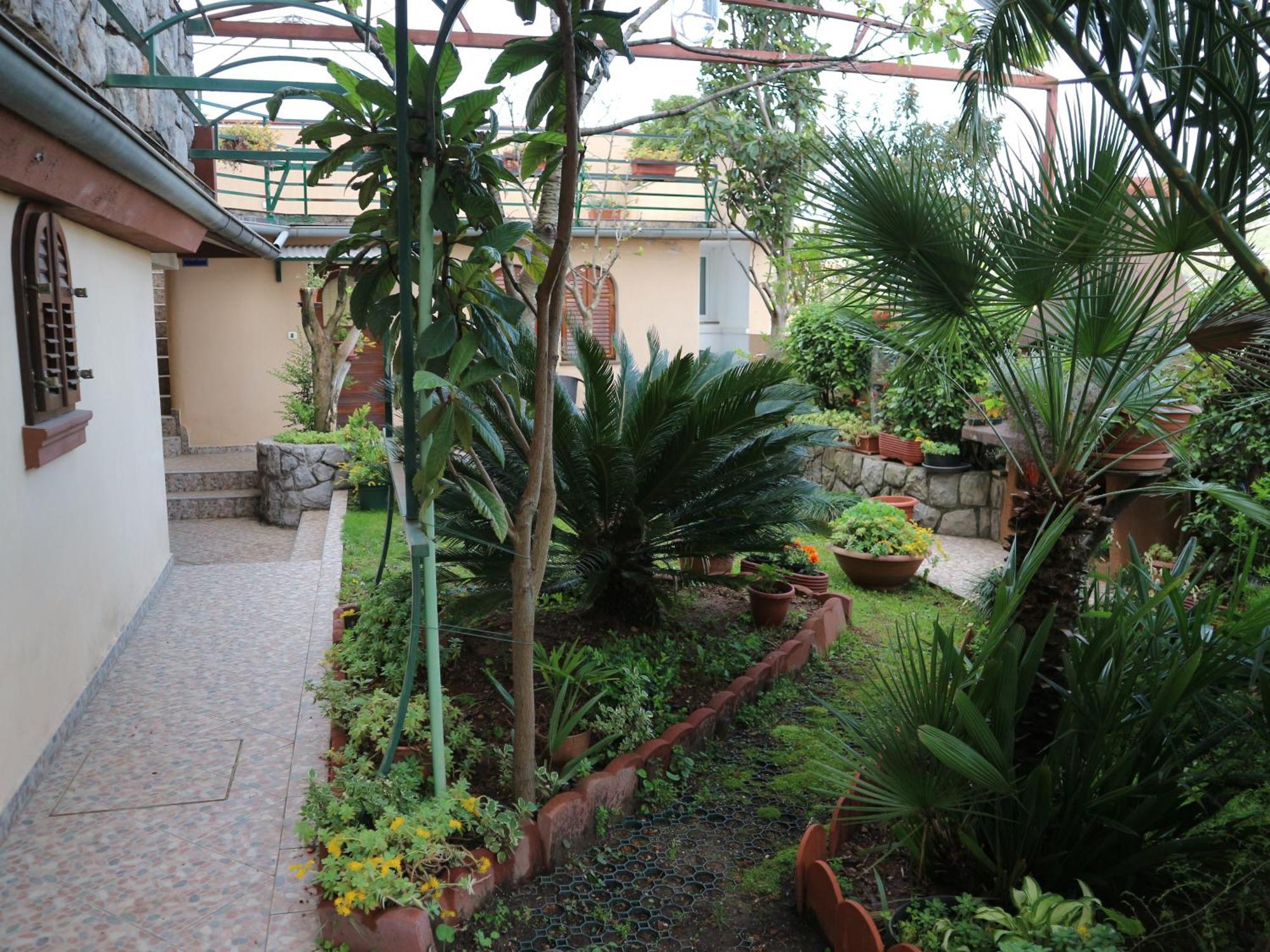 Apartment Komel